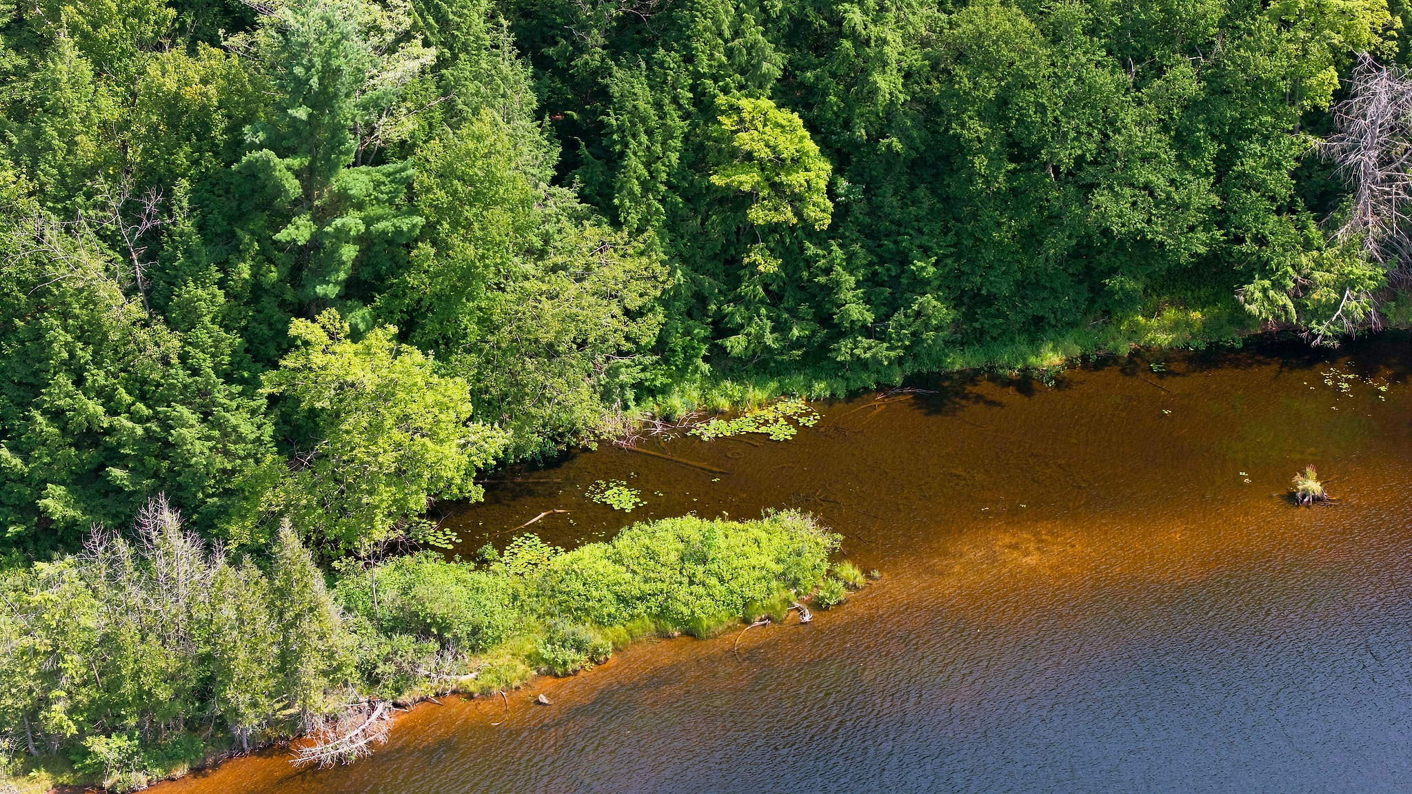 DJI_20260812162728_0229_D.jpg