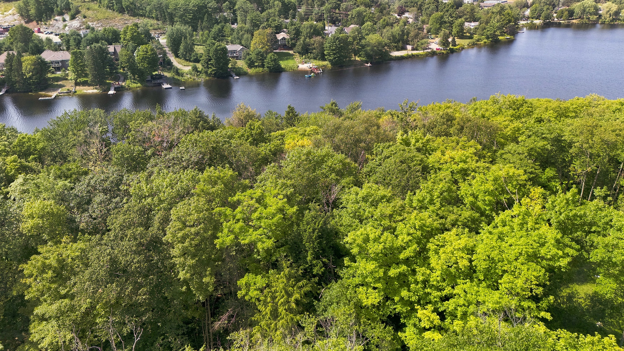 DJI_20260812162606_0224_D.jpg
