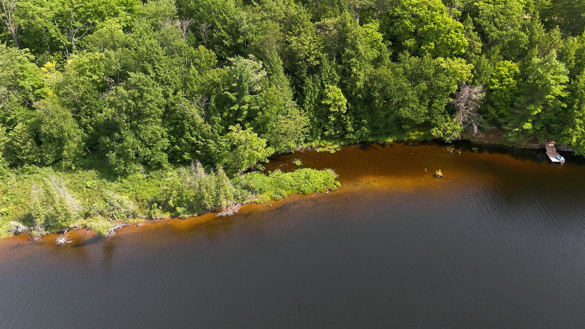 DJI_20260812162802_0235_D.jpg
