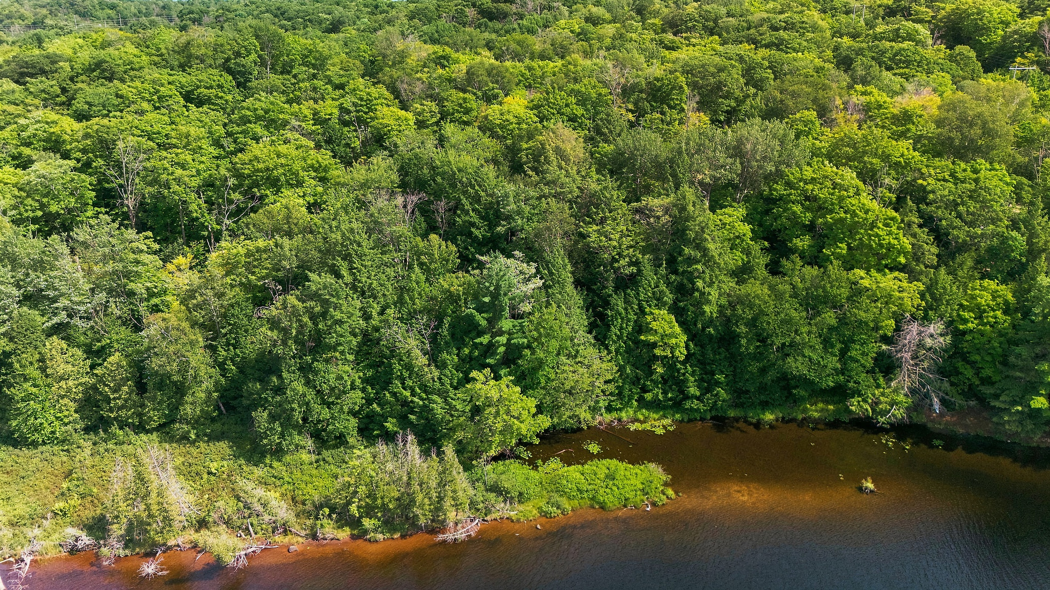 DJI_20260812162739_0230_D.jpg