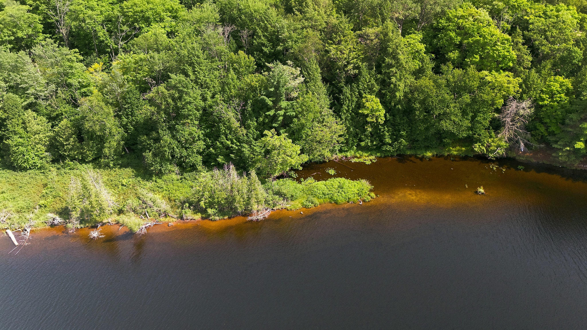 DJI_20260812162742_0231_D.jpg