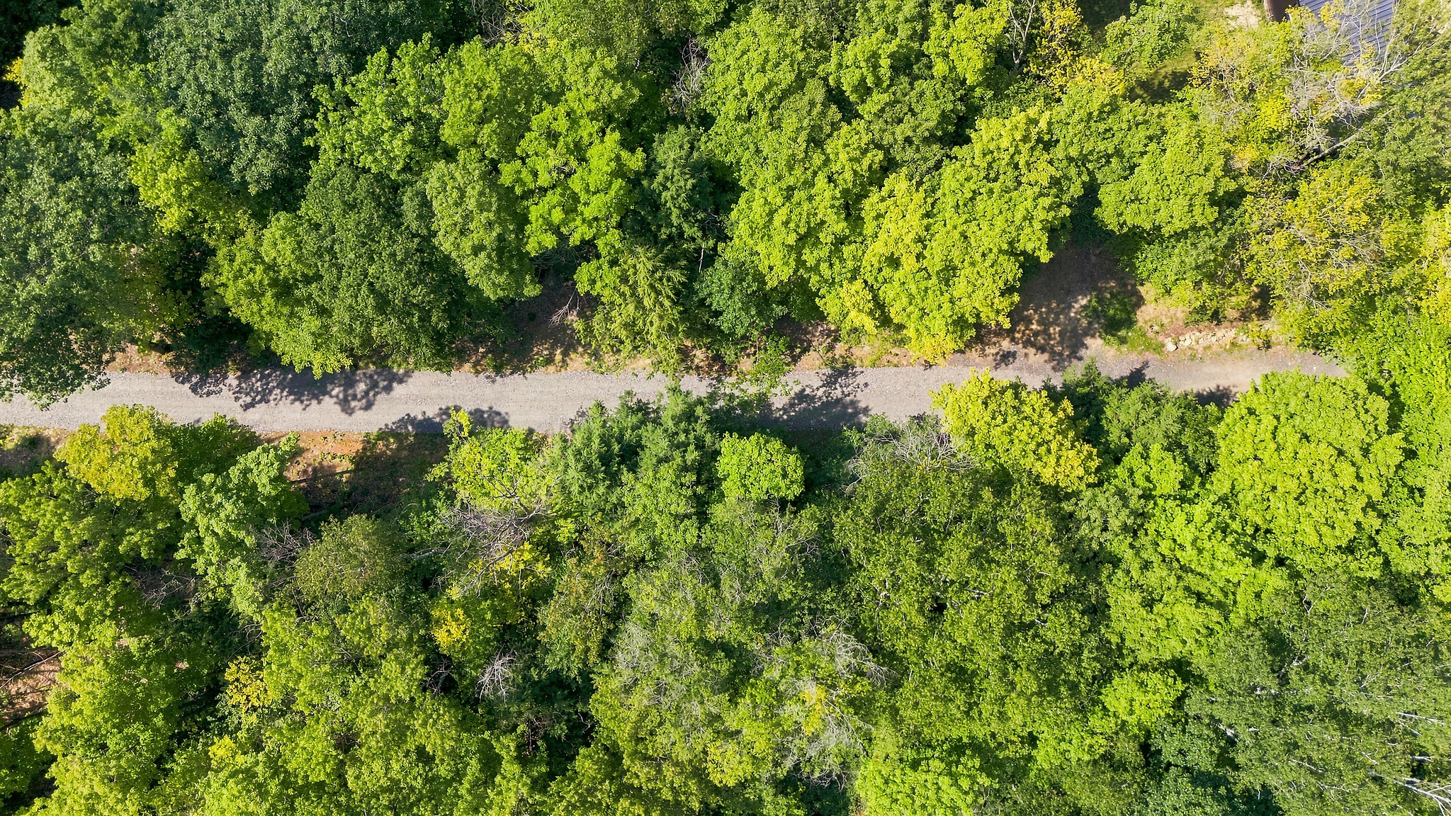 DJI_20260812162552_0223_D.jpg